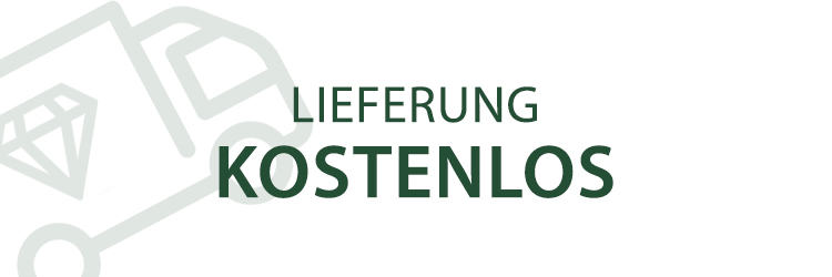 Lieferung Kostenlos